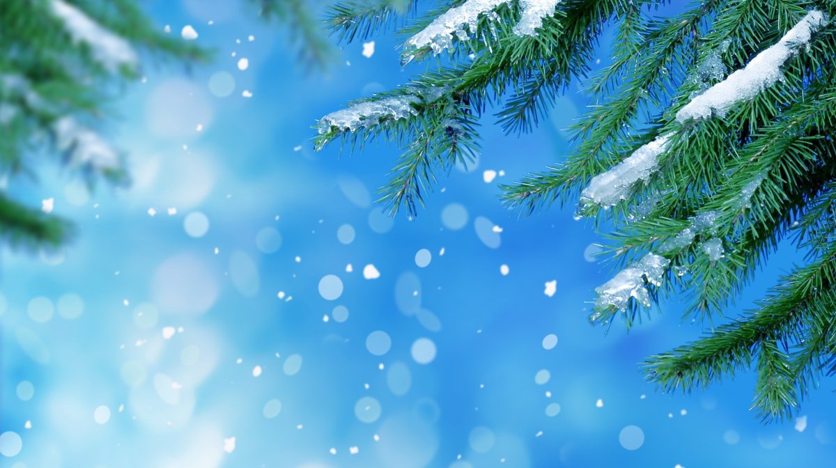 Красивый зимний фон