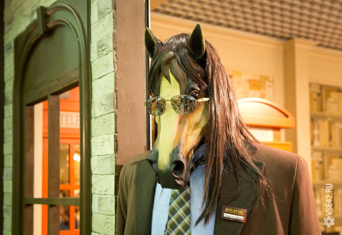 Конь в пальто новая Зеландия