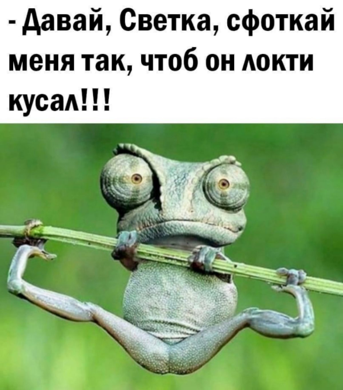 Юмор про рукодельниц