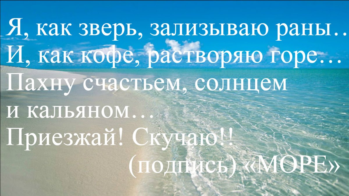 Чипборд Дельфин на волне