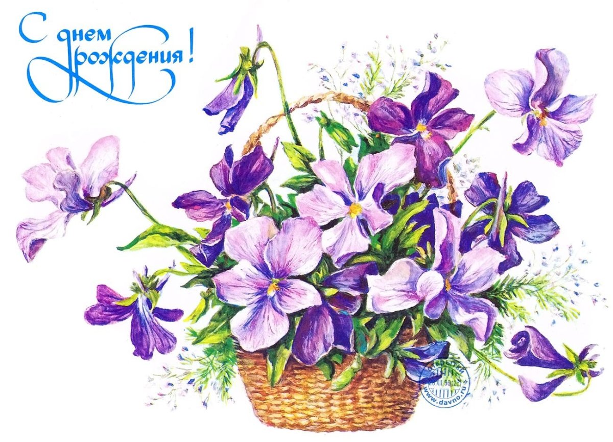 Открытки с фиалками с днем рождения