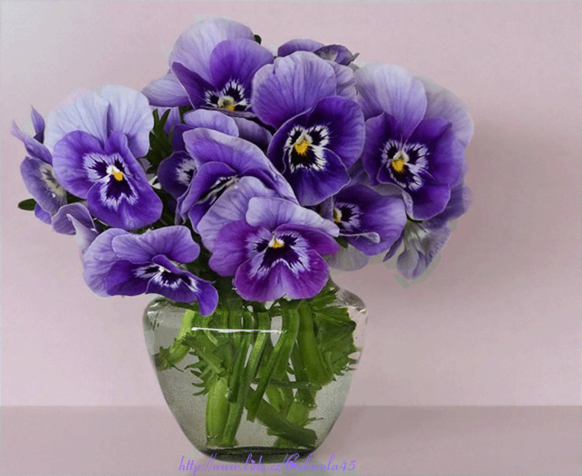 Букет фиалок