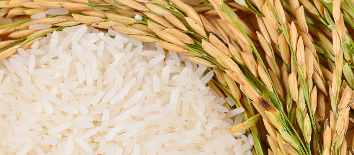Рис басмати колосок