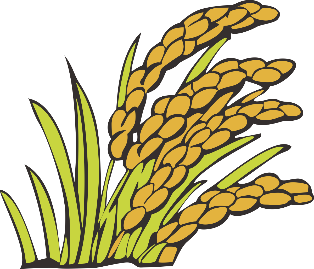 Колосок рисунок для детей