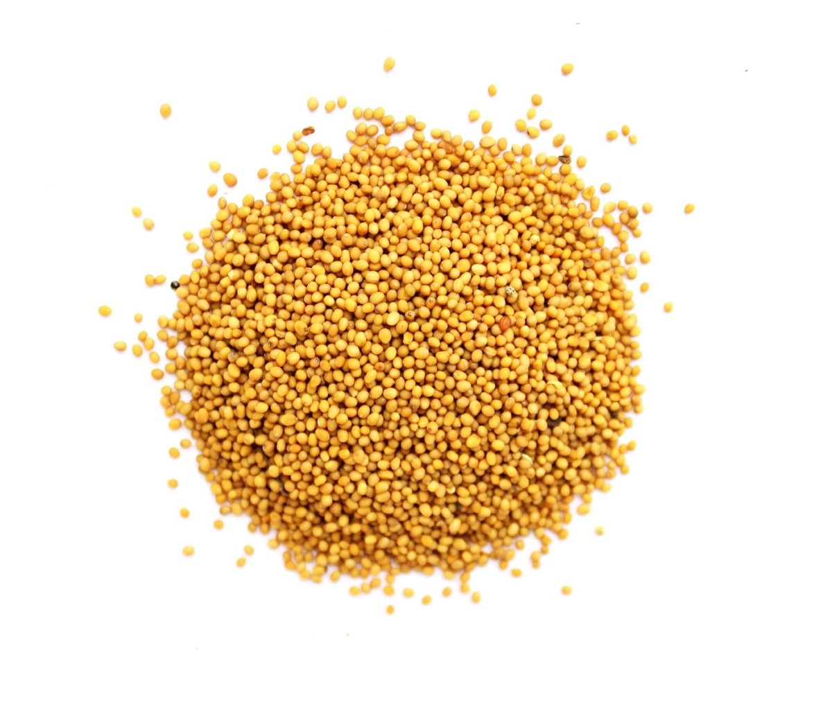 Масло горчичное сыродавленное