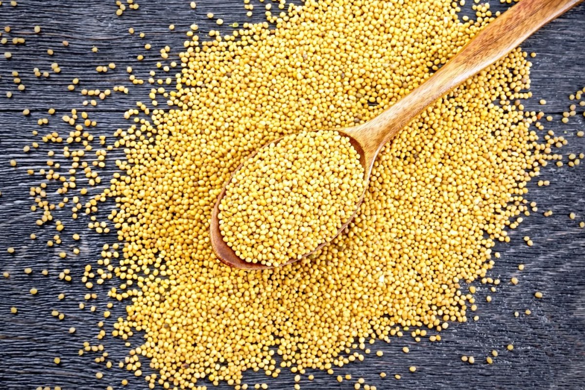 Семена горчица сарептская