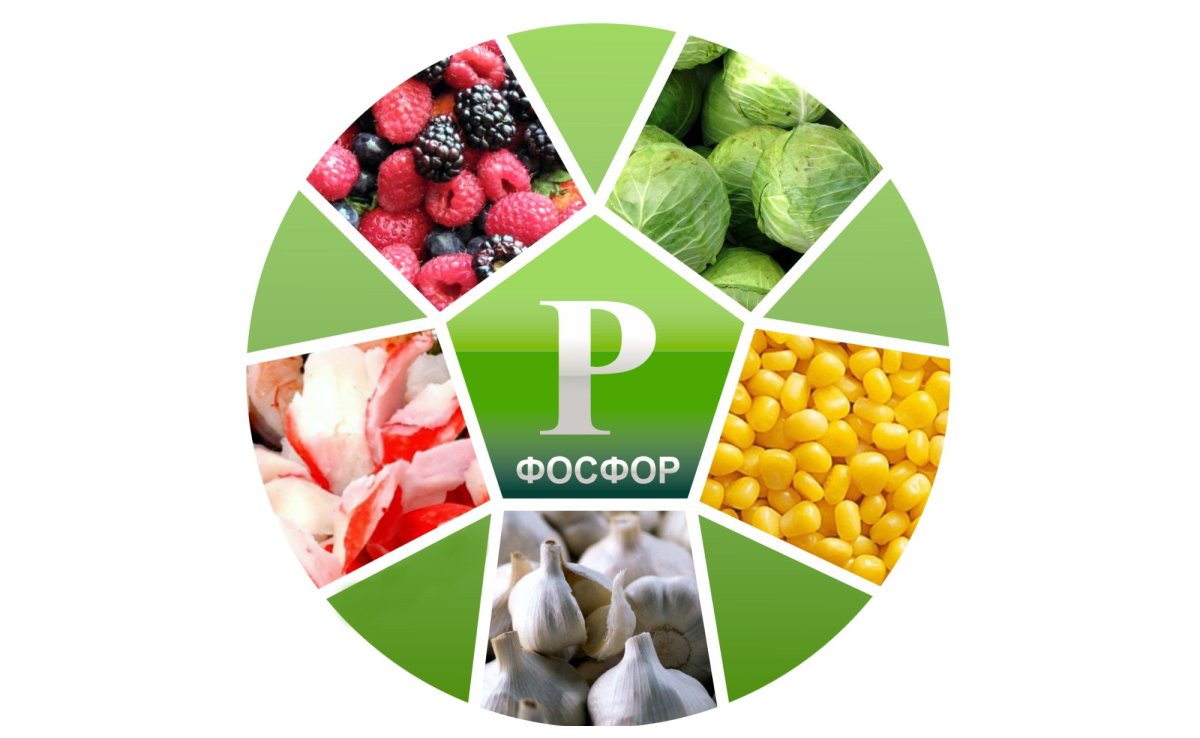 Таблица таблица Менделеева фосфор