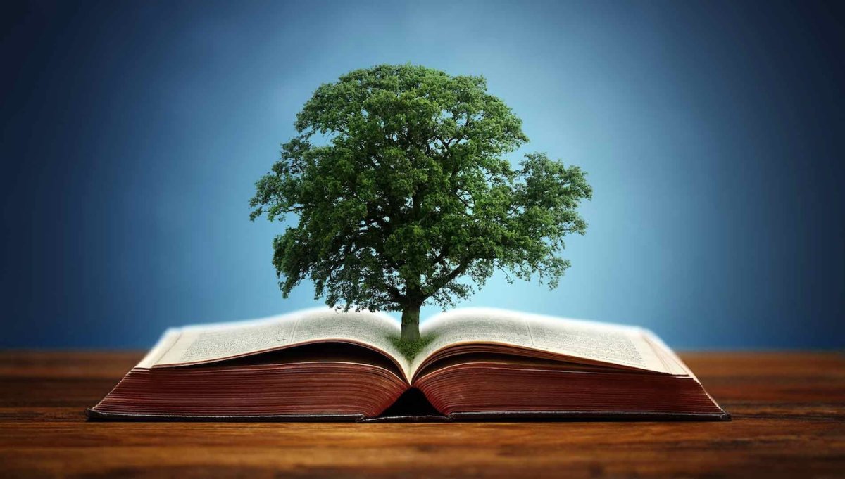 Знания мудрость