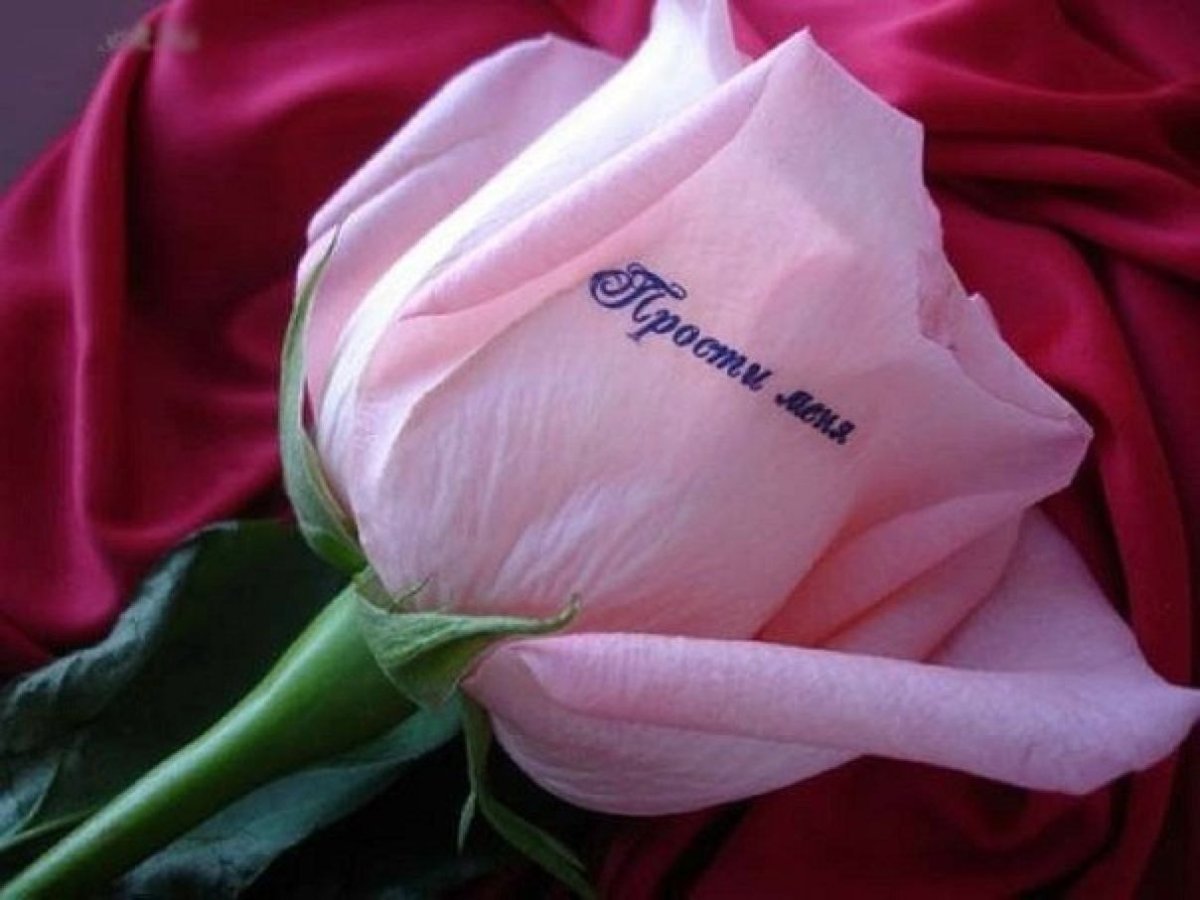 Букет с извинениями