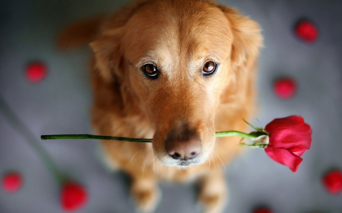 Счастливого пути буду скучать