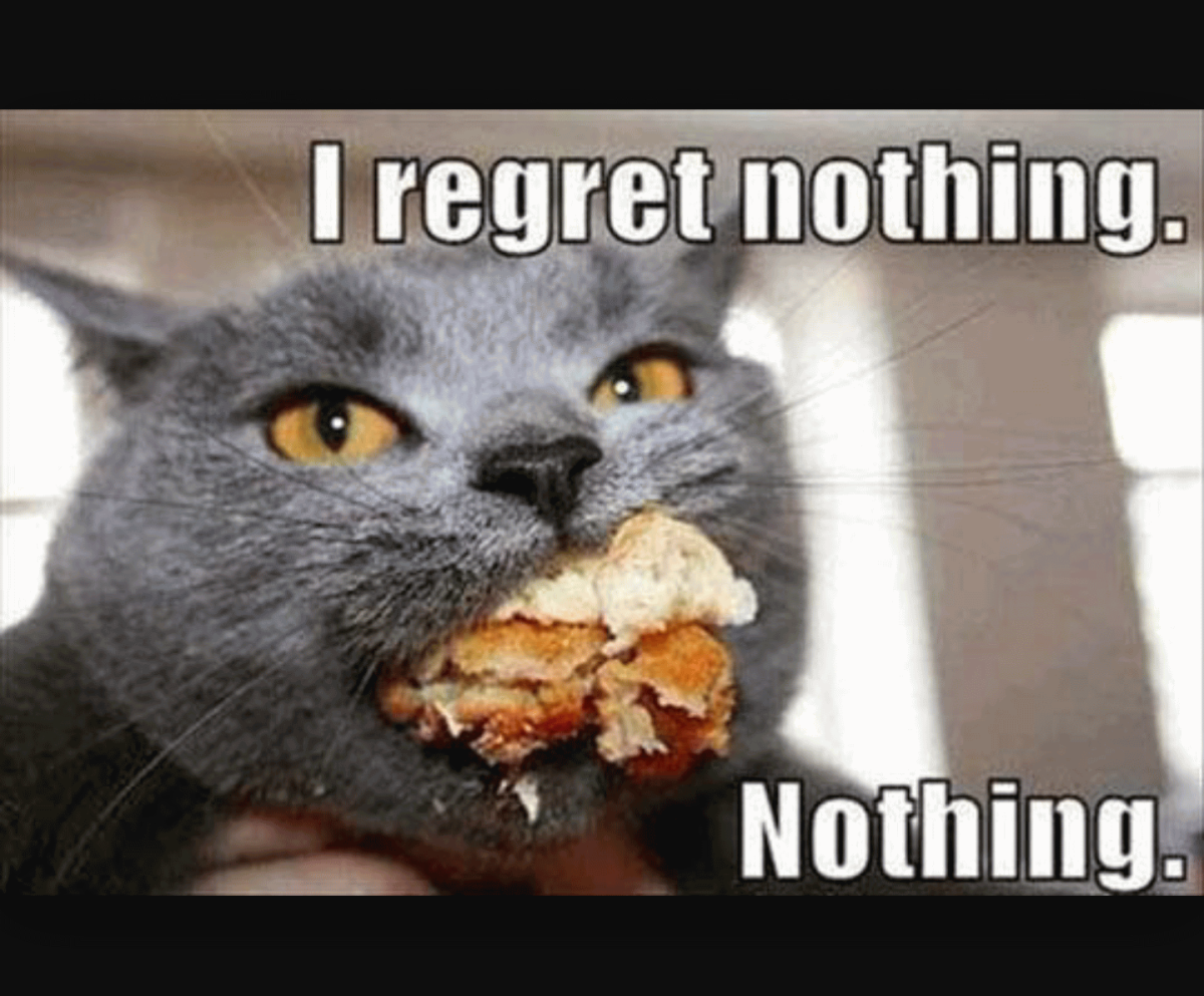 Кот с едой во рту