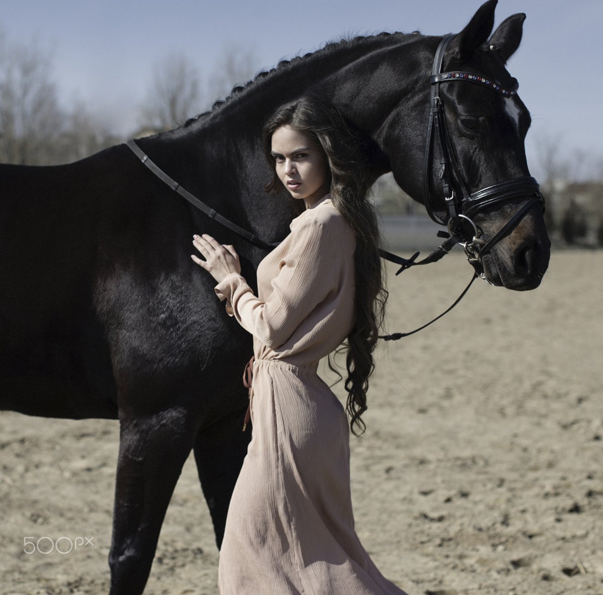 Восточная девушка на лошади