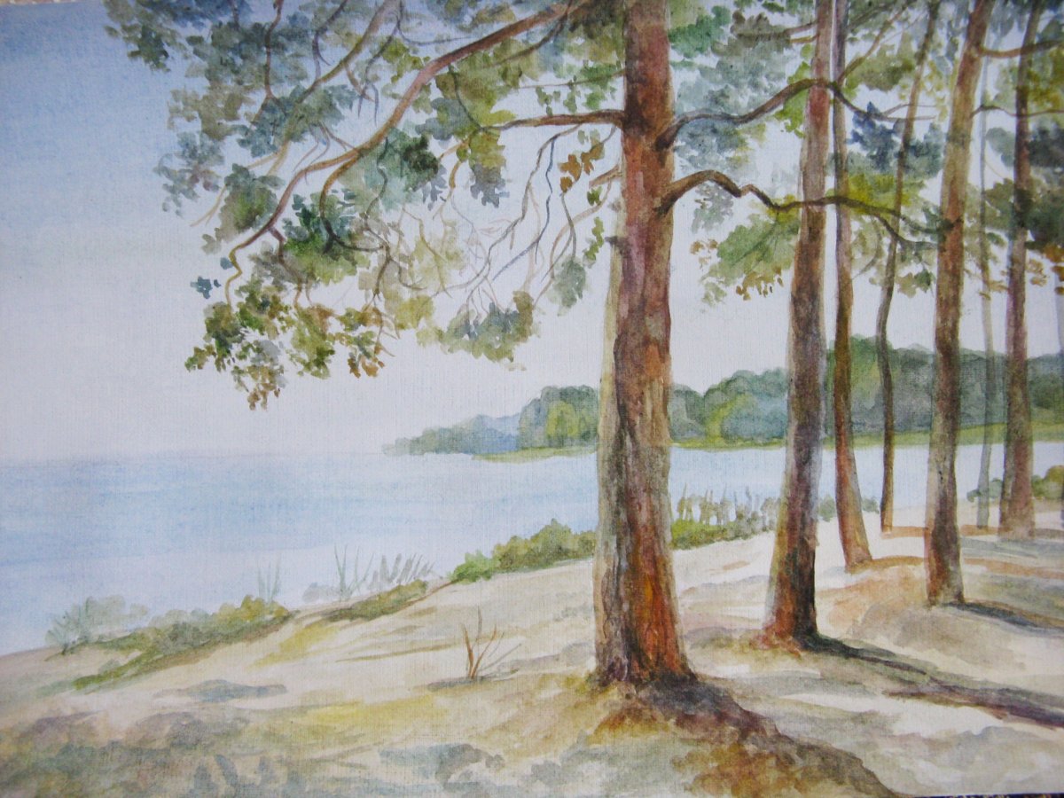 Сосновый Бор акварель