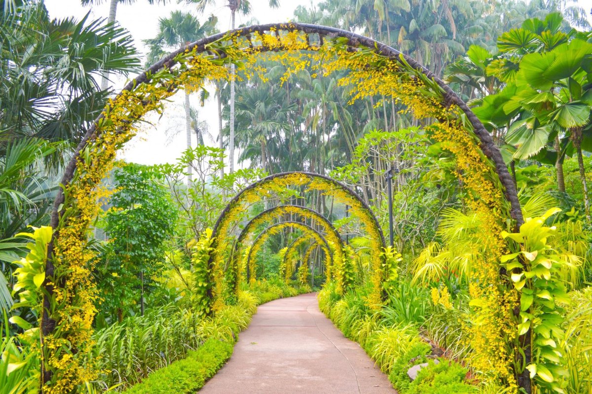 Тропический Ботанический сад Монреаль