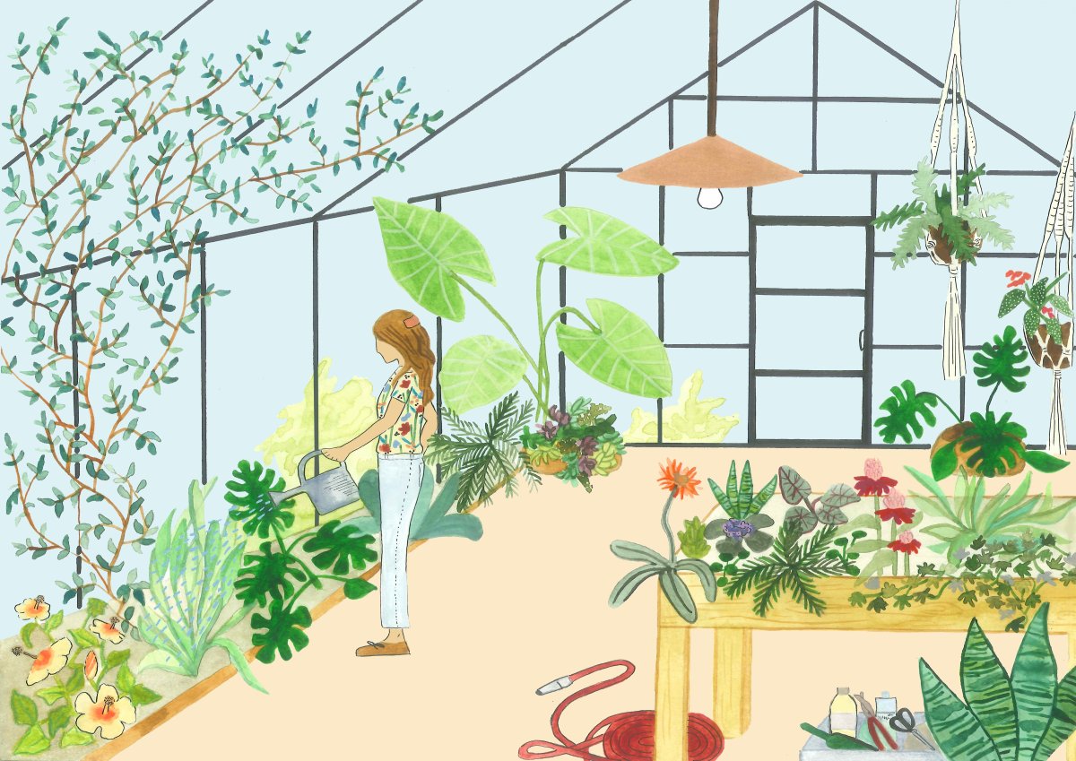 Оранжерея в детском саду