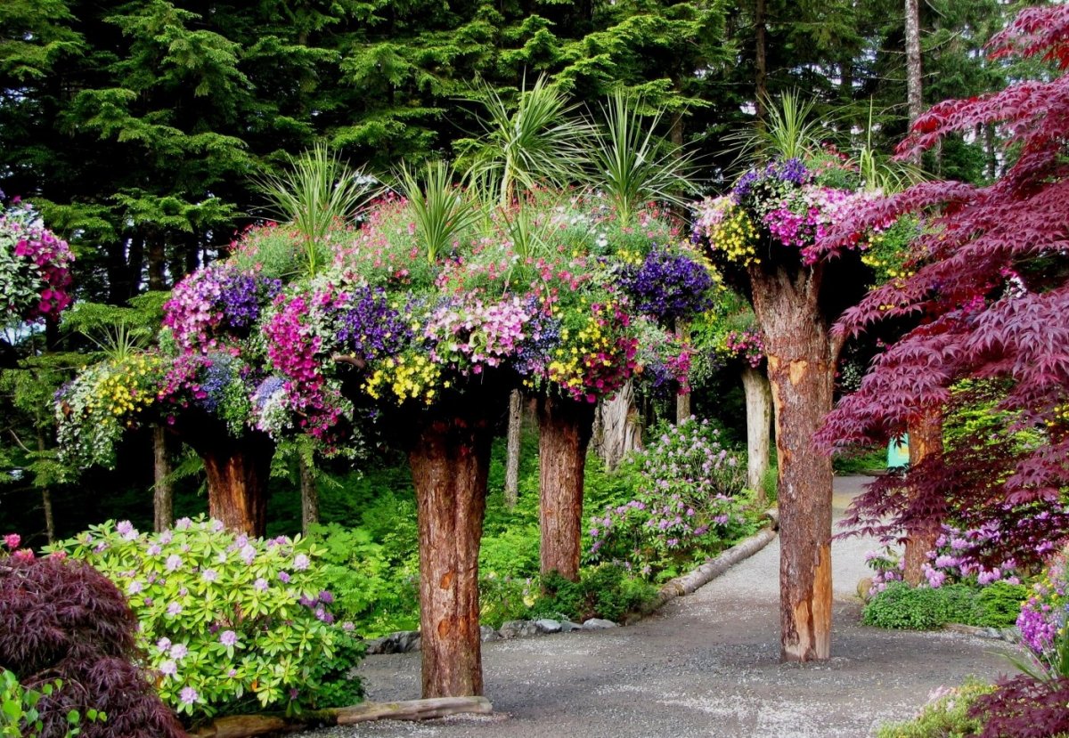 Аляскинский Ботанический сад Анкоридж