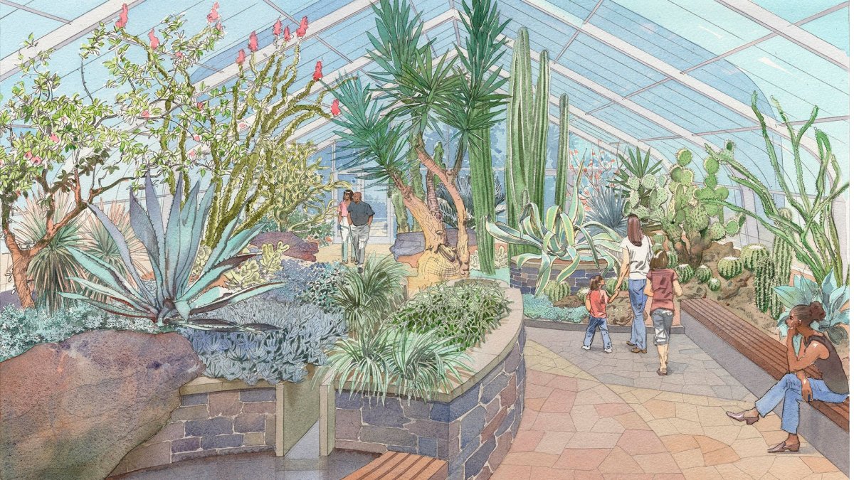 Ботанический сад набросок