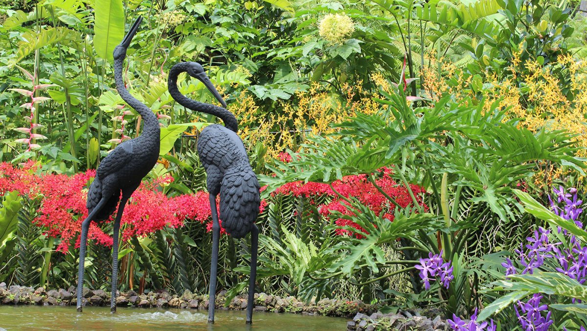 Ботанический сад Сингапура 1822