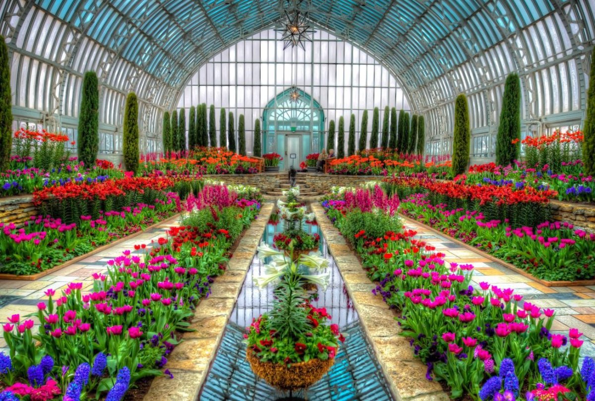 Оранжерея Рим