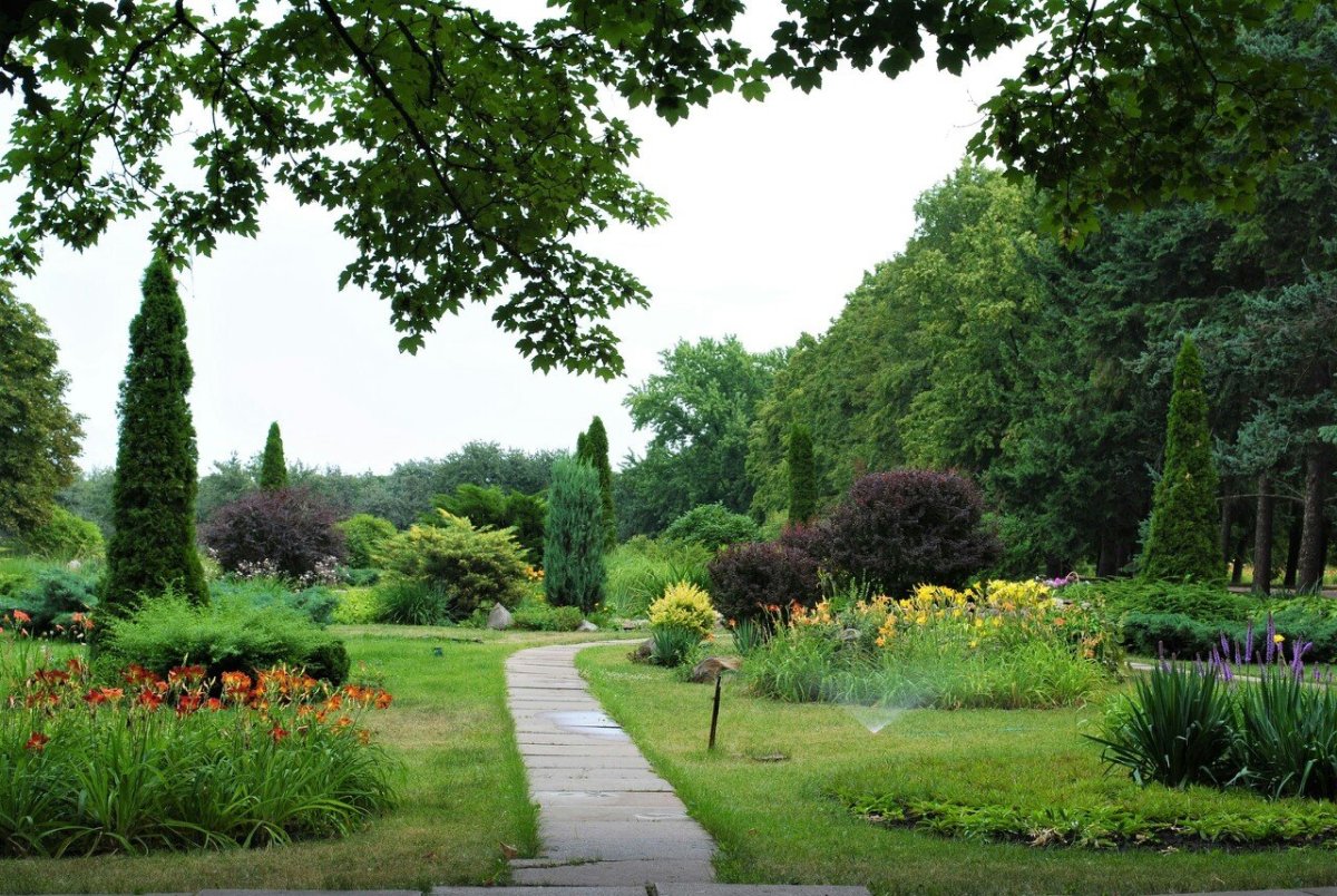 Итальянский сад Ботанический сад Донецк
