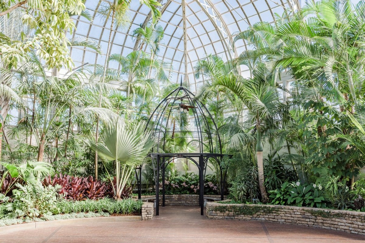 Королевский Ботанический сад в Москве