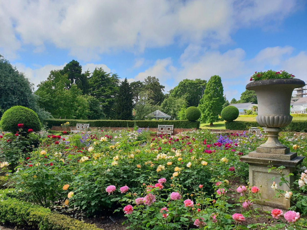 Ботанический сад Бирмингем