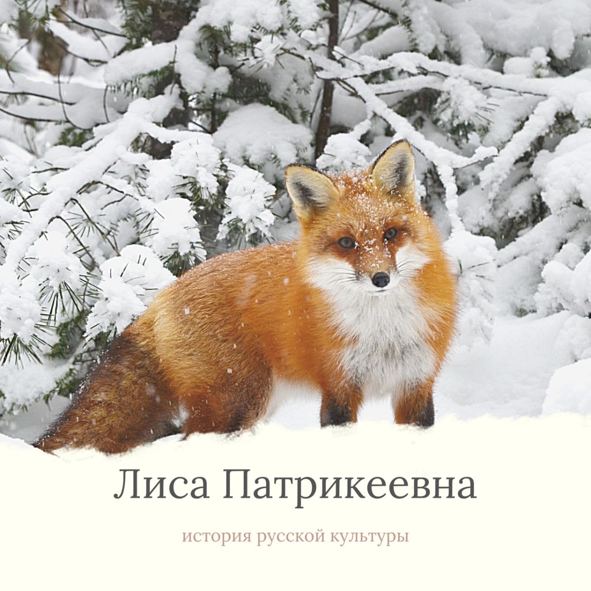 Лиса Елизавета Патрикеевна