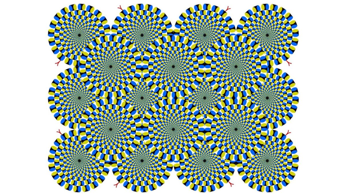 Вращающиеся змеи Акиоши Китаока