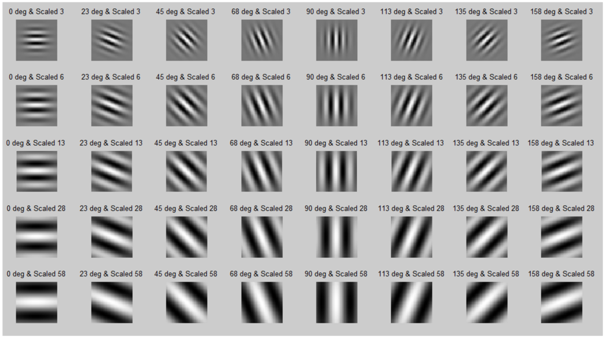 Таблица Габора