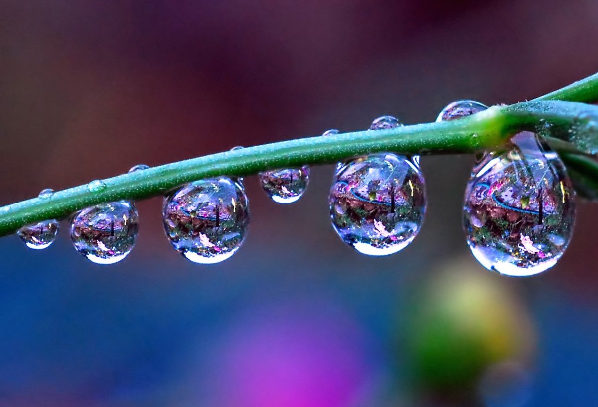 Капелька воды