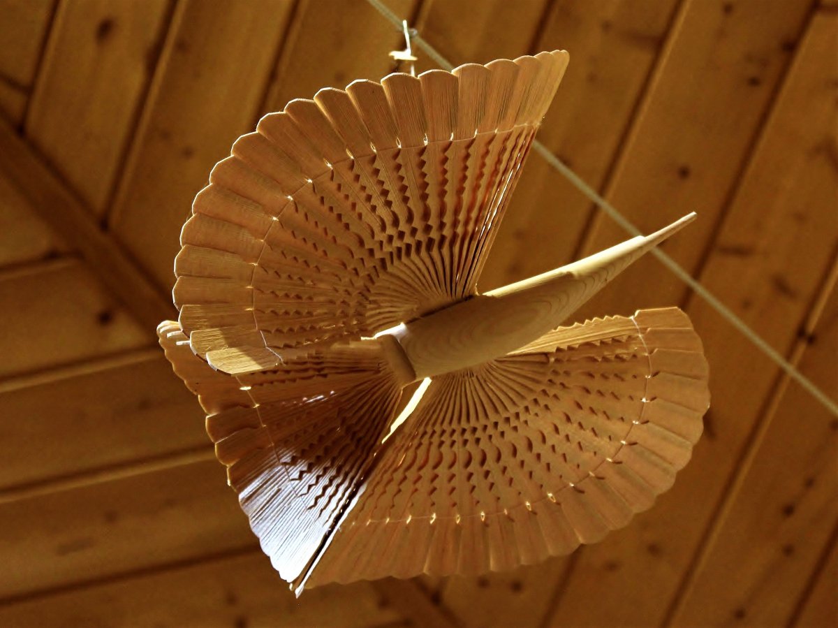 Волшебная птица