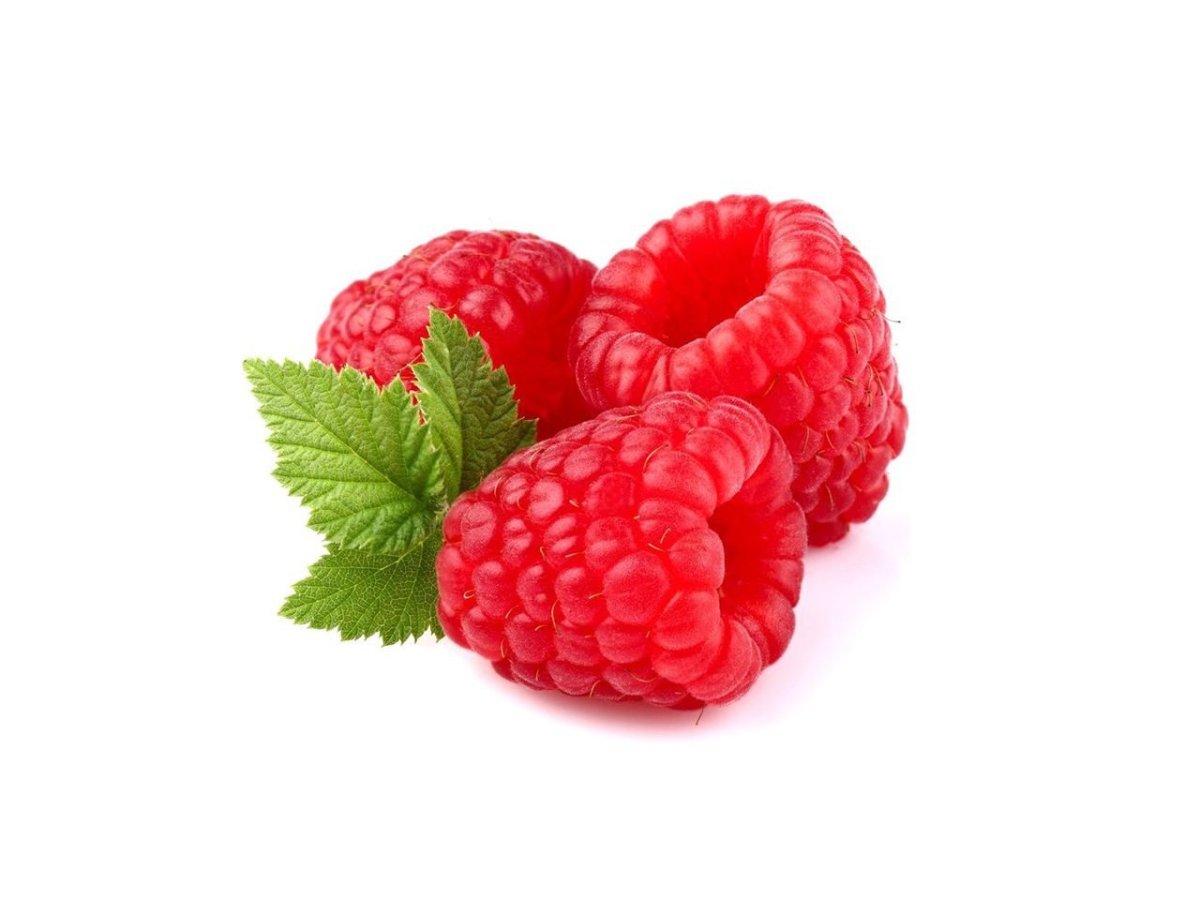 Баннер свежемороженные ягоды PNG