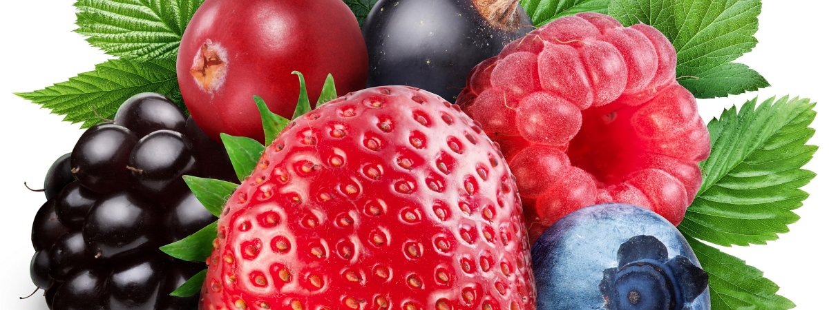 Клубника э на белом фоне