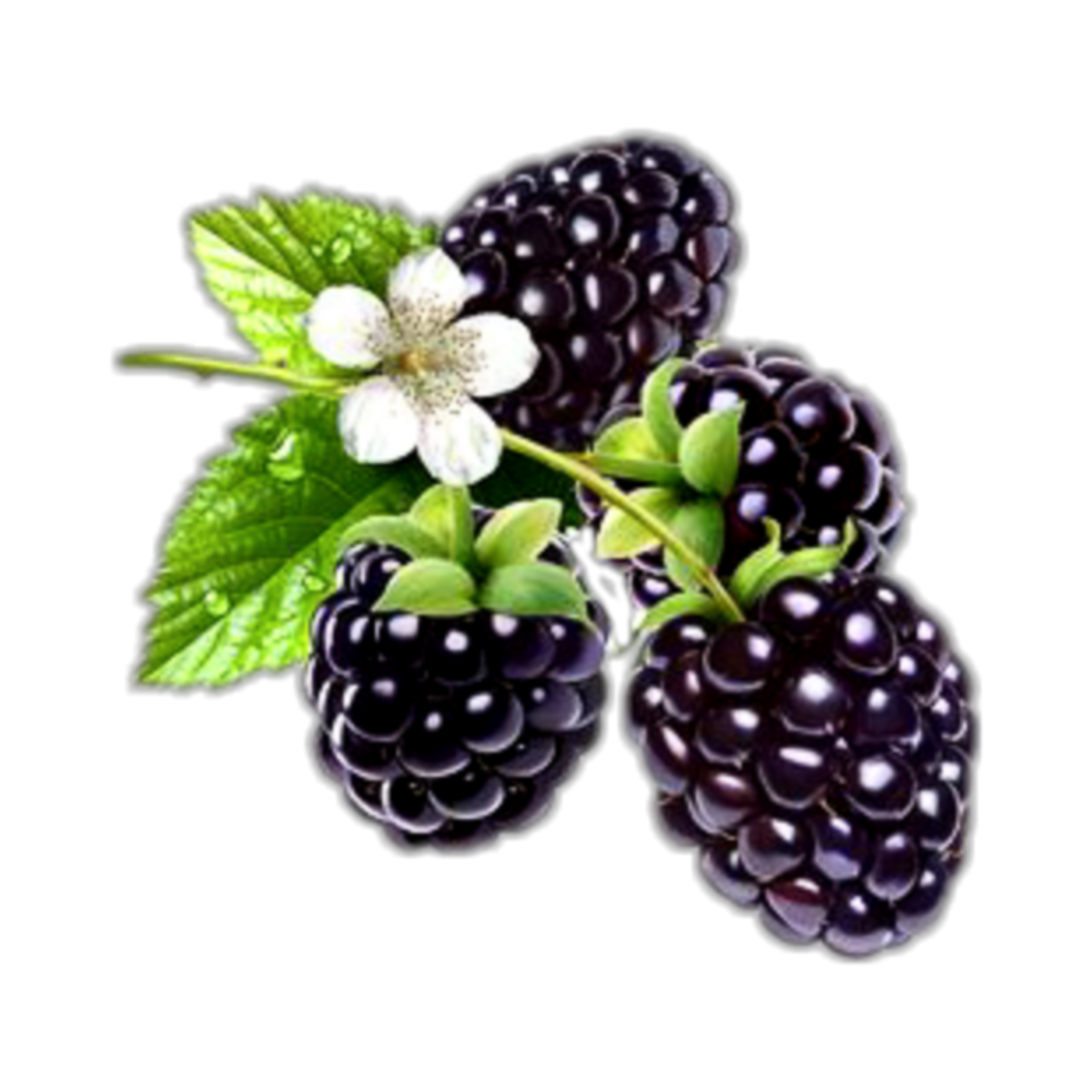 Ягодка Малинка ЭМОДЖИ