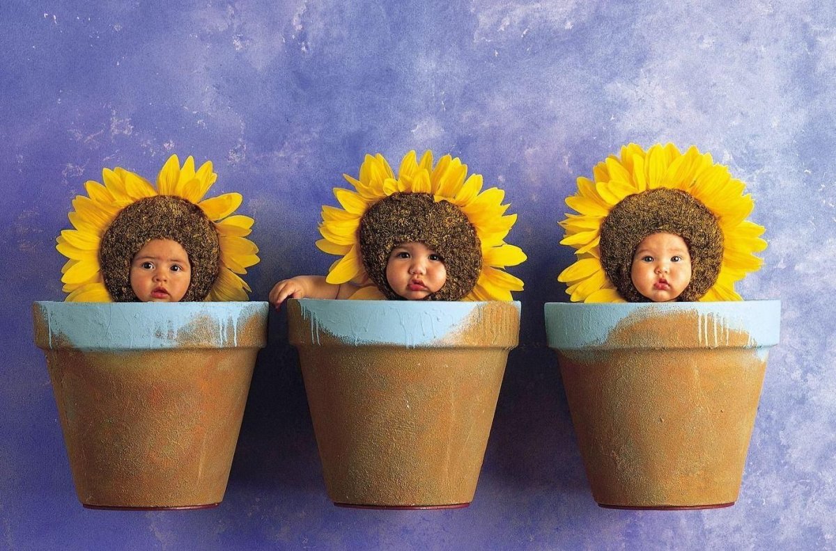 Анна Геддес Ёжики