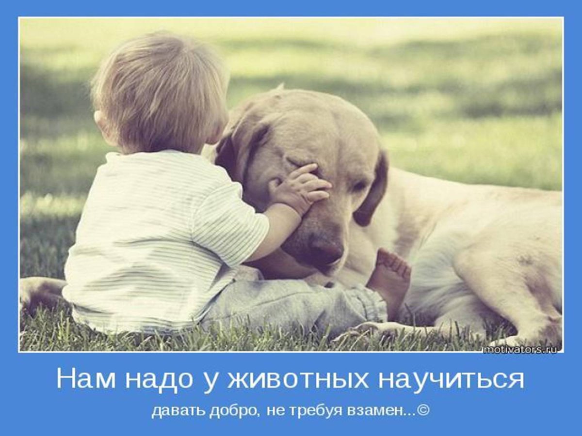 Трогательные иллюстрации