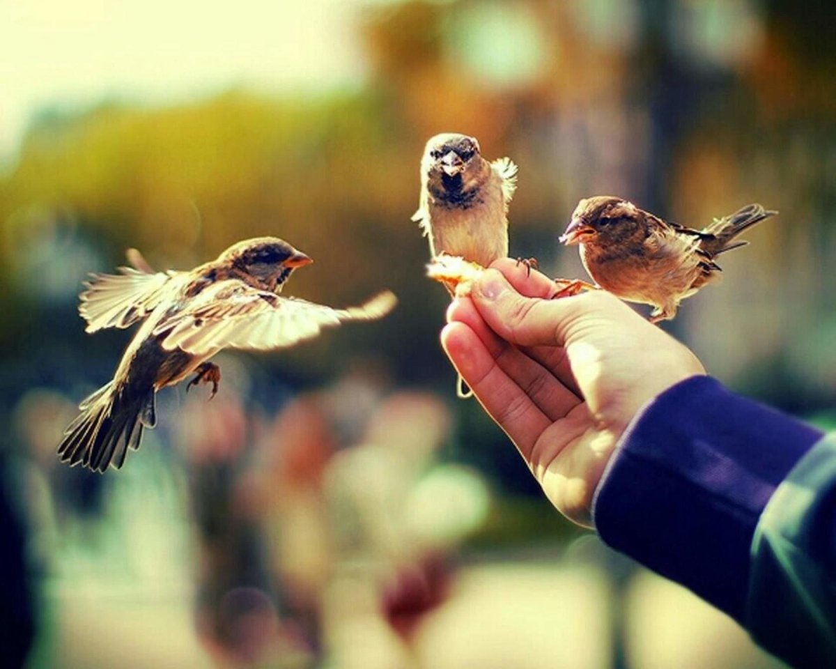 Доброе утро фразы