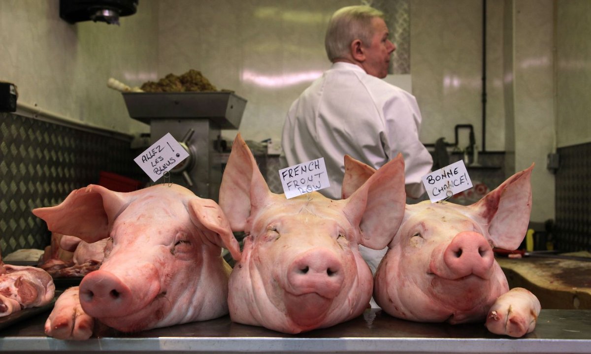 Свинья в деревне