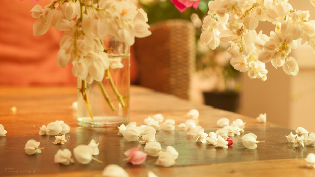 Нежная заставка на рабочий стол