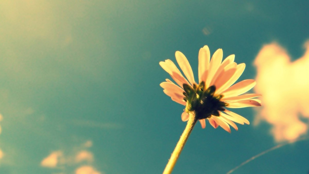 Обложка для фейсбука люди