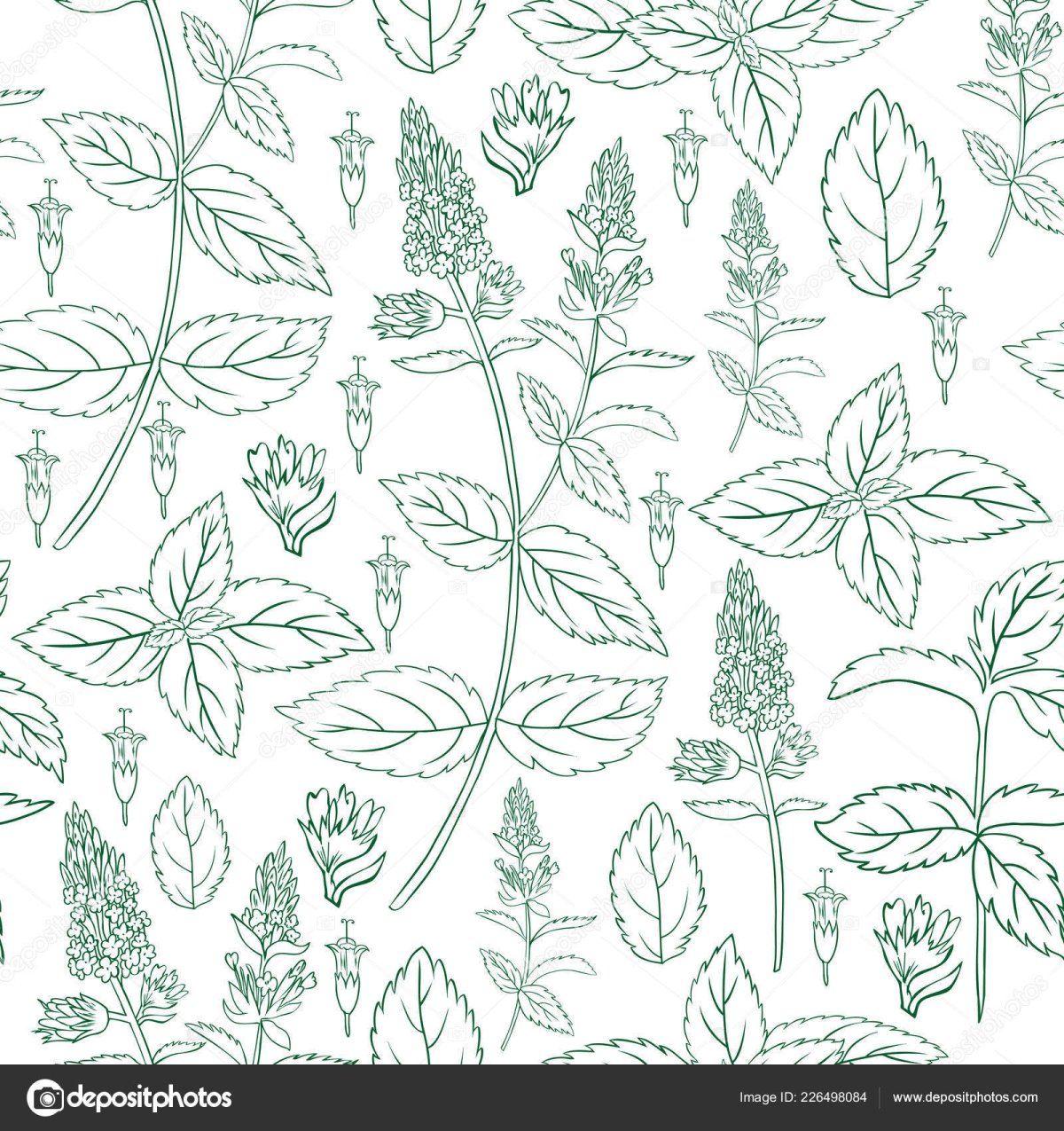 Лист мяты Минимализм