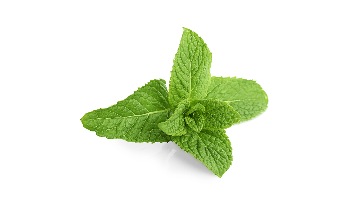 Паттерны с мятой