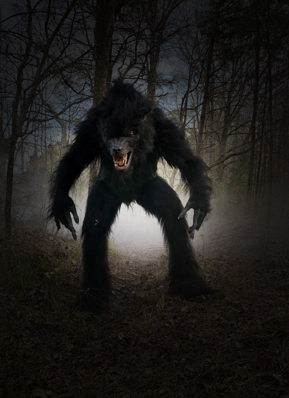 Скотт Маккол в джинсовки