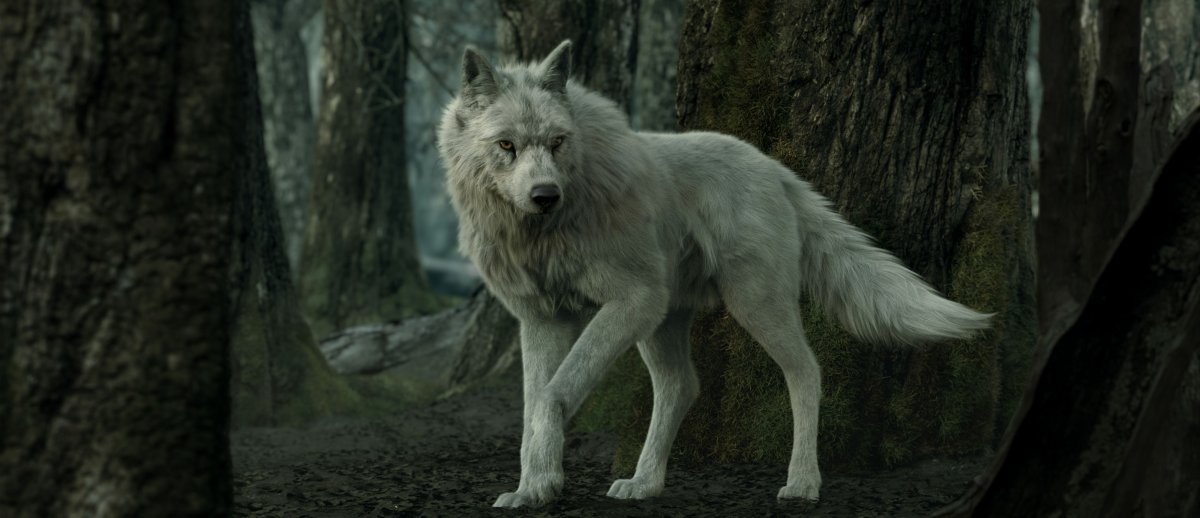 Оборотни из фильма мальчик который рассказывал об оборотне