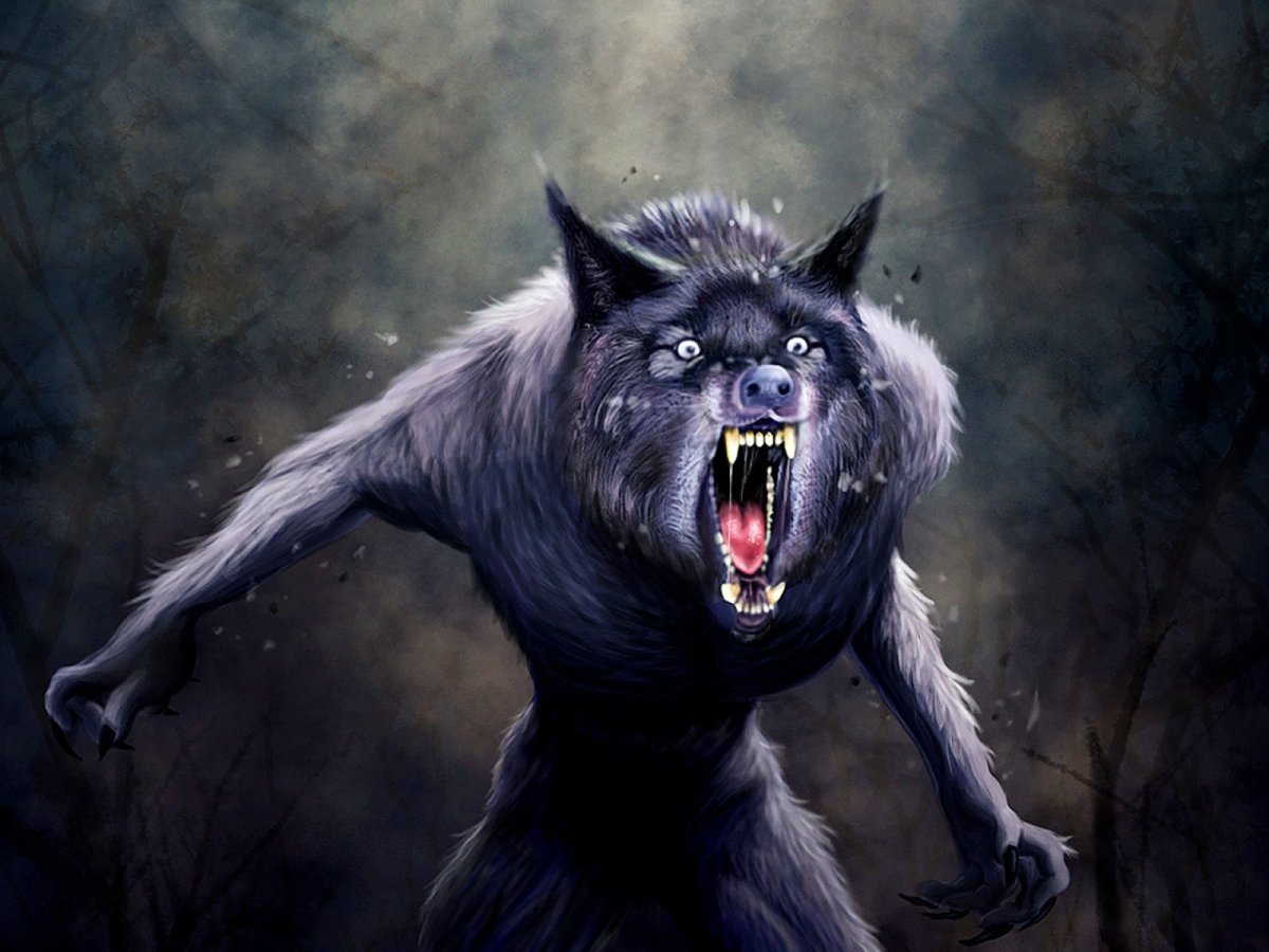 Волк оборотень Ван Хельсинг