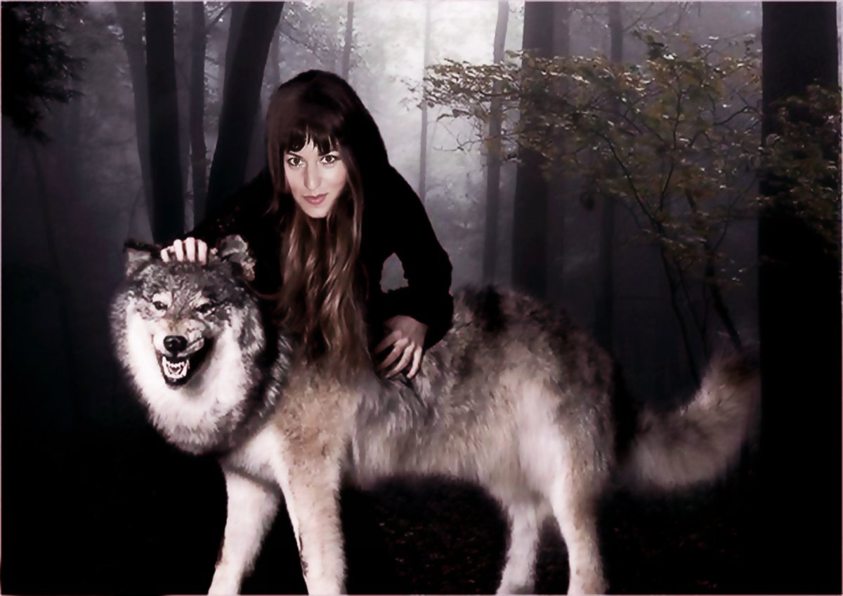 Страшные истории про оборотней