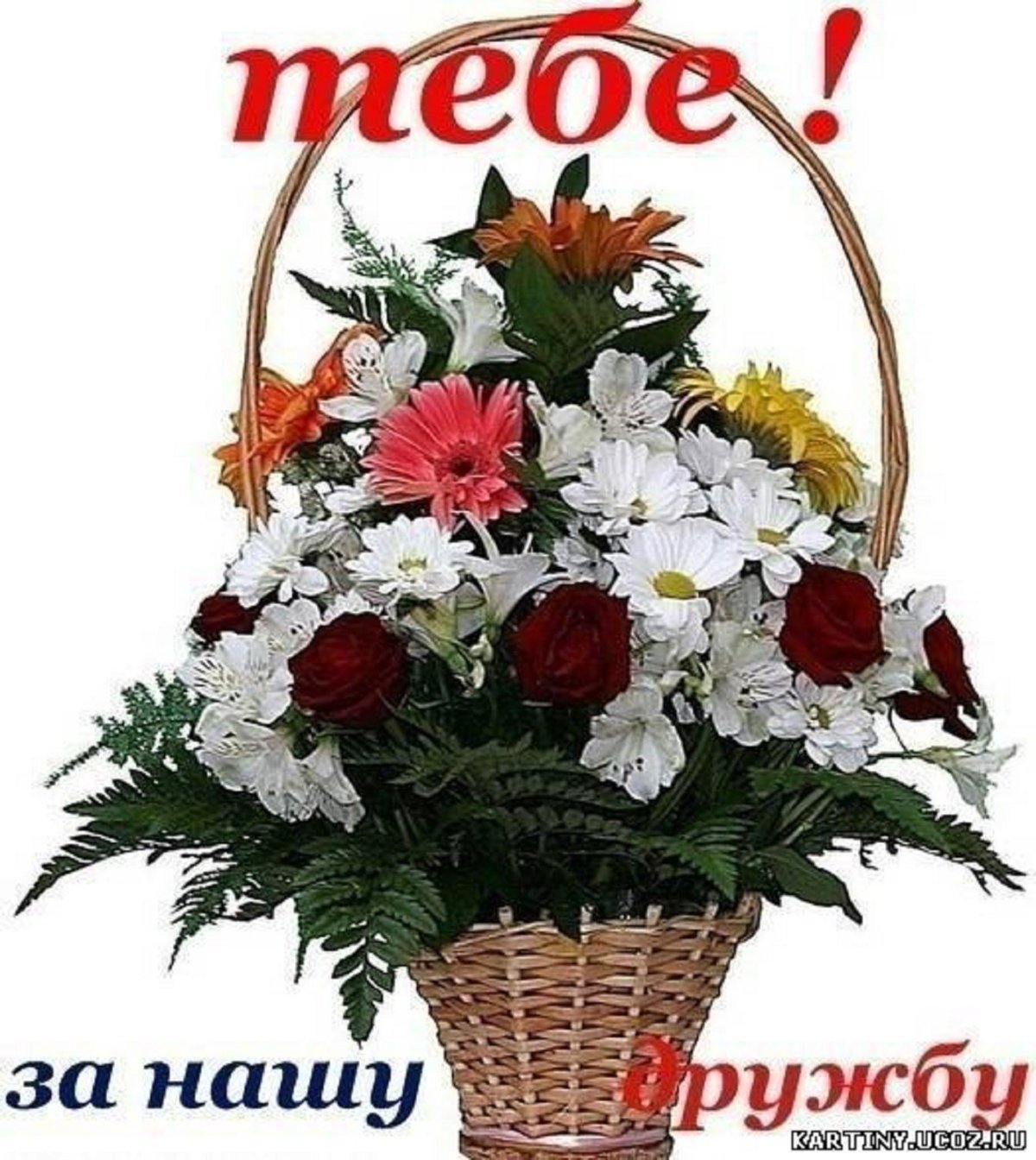 Спасибо за дружбу