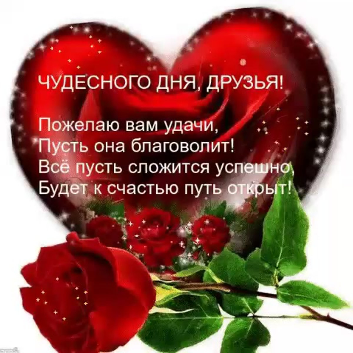 Верных и добрых друзей