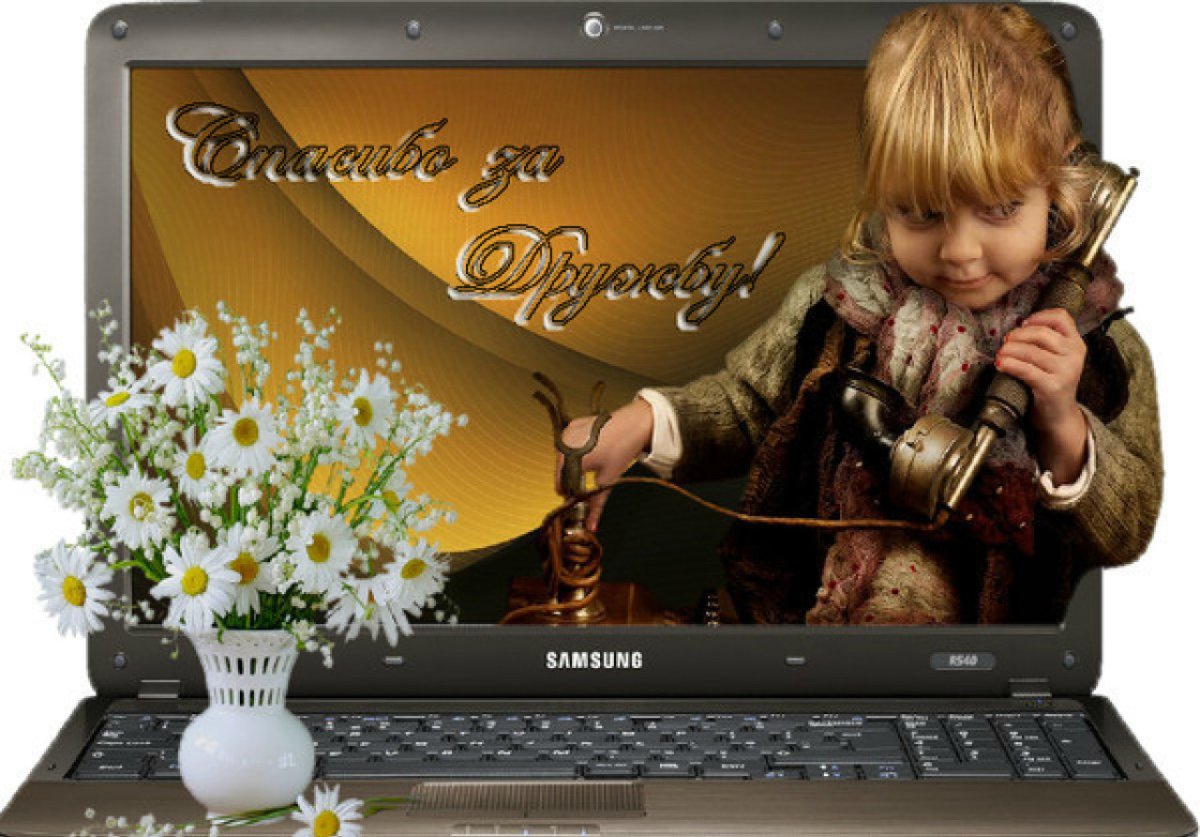 Поблагодарить за комментарий