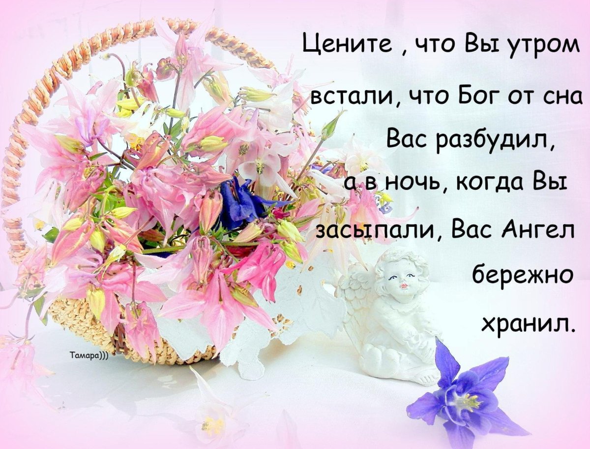 Ромашки в руках